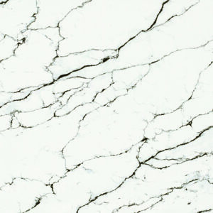 Calacatta Star